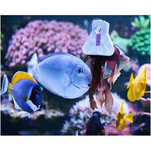 Clip alimentaire Aquarium Systems A la Carte - Support nourriture pour algues - Publicité Clip alimentaire Aquarium Systems A la Carte - Support nourriture pour algues - Publicité
