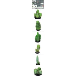 PLAGE Groene Cactus Tegelsticker - Muursticker - 15x15cm PLAGE Groene Cactus Tegelsticker - Muursticker - 15x15cm