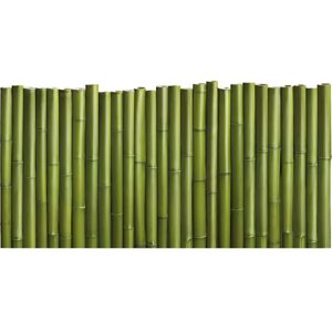 PLAGE Headboard Sticker - Bamboo Stems Natural Nature Decor 60cm x 160cm PLAGE Headboard Sticker - Bamboo Stems Natural Nature Decor 60cm x 160cm