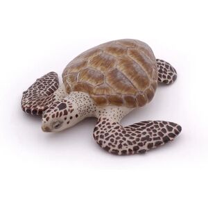 Papo Tortue Cacquanne Papo Tortue Cacquanne