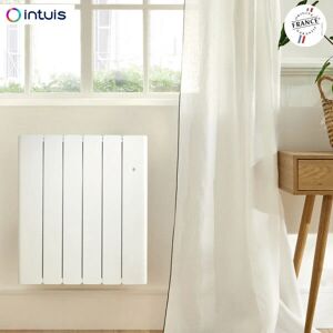 Noirot Beladoo Nativ 1250W Radiateur Fonte Connecté - Radiateur - Publicité Noirot Beladoo Nativ 1250W Radiateur Fonte Connecté - Radiateur - Publicité