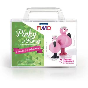 GRAINE CREATIVE 815121 Argile de céramique et de modelage - Pinky et Rosy GRAINE CREATIVE 815121 Argile de céramique et de modelage - Pinky et Rosy