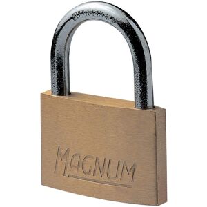 Cadenas Master Lock CAD50 Magnum en Laiton - 50mm Sécurité Polyvalente - Publicité Cadenas Master Lock CAD50 Magnum en Laiton - 50mm Sécurité Polyvalente - Publicité