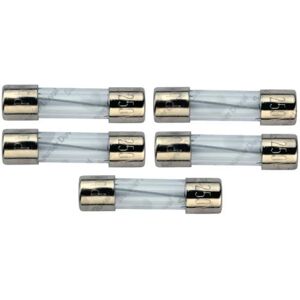 Saunier Duval - Juego de 5 fusibles para calderas - Fusible Saunier Duval - Juego de 5 fusibles para calderas - Fusible