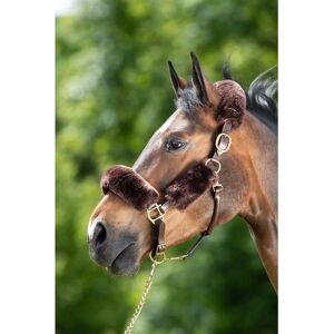 HFI Pferdehalfter Brun - 4-teiliger Satz - Horse Halter HFI Pferdehalfter Brun - 4-teiliger Satz - Horse Halter