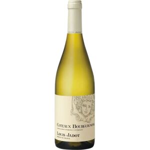 Louis Jadot Coteaux Bourguignons 2021 - Vin Blanc - Publicité Louis Jadot Coteaux Bourguignons 2021 - Vin Blanc - Publicité