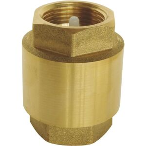 Ayor Universal Female-Female Check Valve - Water, Oil, Air - 12 Bar Ayor Universal Female-Female Check Valve - Water, Oil, Air - 12 Bar