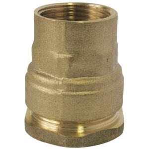 SOMATHERM 25-1 Raccord femelle PE - Connecteur en laiton SOMATHERM 25-1 Raccord femelle PE - Connecteur en laiton