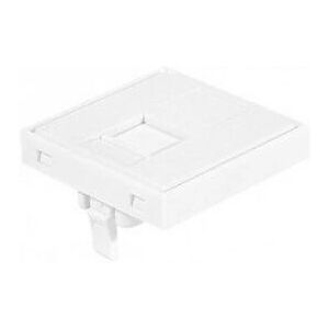 Dexlan 911722 Prise RJ-45 Blanche - Prise de courant Dexlan 911722 Prise RJ-45 Blanche - Prise de courant