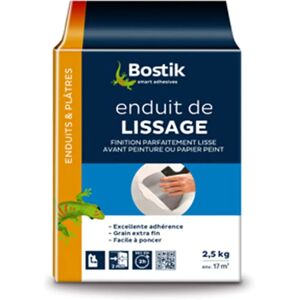 Poudre de Lissage Bostik - Enduit à béton Poudre de Lissage Bostik - Enduit à béton
