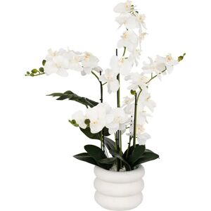 Atmosphera White Artificial Orchid - 80cm Decor Atmosphera White Artificial Orchid - 80cm Decor