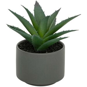 Atmosphera - Pianta succulenta in vaso di arenaria - 13cm H Atmosphera - Pianta succulenta in vaso di arenaria - 13cm H