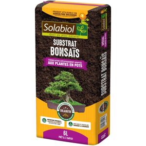 Solabiol Tereno 6L Engrais Organique - Favorise racines 5 mois - Publicité Solabiol Tereno 6L Engrais Organique - Favorise racines 5 mois - Publicité