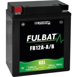 Batterie gel Fulbat 12V - 12.6Ah, 161x134x80mm - Publicité Batterie gel Fulbat 12V - 12.6Ah, 161x134x80mm - Publicité