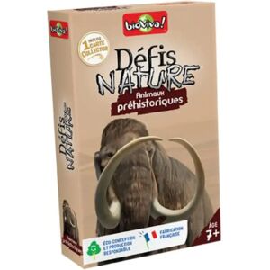 Bioviva - Animaux Préhistoriques - Jeu Éducatif - Publicité Bioviva - Animaux Préhistoriques - Jeu Éducatif - Publicité