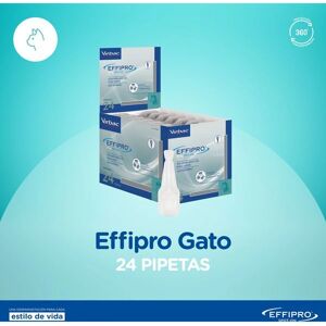 Virbac Effipro Modell - Antiparasitikum für Katzen Virbac Effipro Modell - Antiparasitikum für Katzen