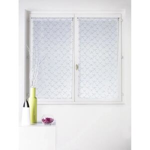 HOME MAISON - Par de visillos - Blanco con lunares - Batiste - Curtains HOME MAISON - Par de visillos - Blanco con lunares - Batiste - Curtains