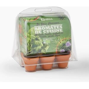 Mini serre Radis et Capucines - Kit d'herbes - Publicité Mini serre Radis et Capucines - Kit d'herbes - Publicité
