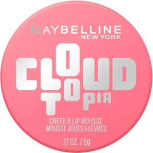 Maybelline Cloudtopia Blush Cheek and Lip Mousse - 07 Moonlit Rose Maybelline Cloudtopia Blush Cheek and Lip Mousse - 07 Moonlit Rose