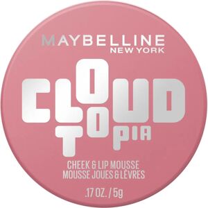 Maybelline New York CloudTopia Cheek & Lip Mousse - Enchanted Mauve - Blush and Lip Mousse Maybelline New York CloudTopia Cheek & Lip Mousse - Enchanted Mauve - Blush and Lip Mousse