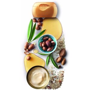 Garnier Nourishing Shampoo Argan Oil - Shampoo for Damaged Hair Garnier Nourishing Shampoo Argan Oil - Shampoo for Damaged Hair