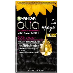 Garnier Olia Djup Lila Hårfärg - Permanent, Naturliga Blomsteroljor Garnier Olia Djup Lila Hårfärg - Permanent, Naturliga Blomsteroljor
