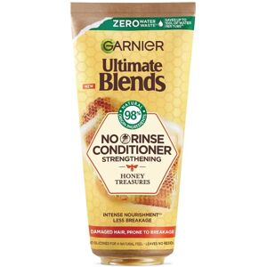 Garnier Honey Treasures No Rinse Hair Conditioner - Strengthening Garnier Honey Treasures No Rinse Hair Conditioner - Strengthening