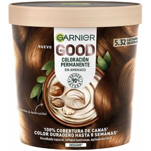 Garnier Burnished Sunset - Coloration Permanent pour Cheveux 160mL - Coloration capillaire Garnier Burnished Sunset - Coloration Permanent pour Cheveux 160mL - Coloration capillaire
