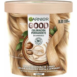 Garnier Good Ammonia-Free Permanent Hair Color - Dawn Beige - Hair Color Garnier Good Ammonia-Free Permanent Hair Color - Dawn Beige - Hair Color