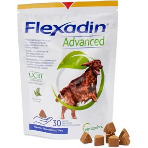 Vetoquinol Flexadin Advanced Chien - Soutien des Articulations - Publicité Vetoquinol Flexadin Advanced Chien - Soutien des Articulations - Publicité