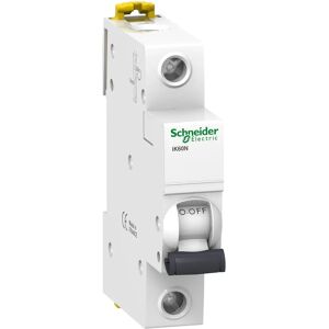 Interruttore Differenziale Compact Schneider Electric - IK60N 25A Curva C Interruttore Differenziale Compact Schneider Electric - IK60N 25A Curva C
