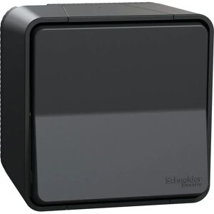 Interrupteur LED Gris MUREVA STYL Schneider Electric MUR35025 - Interrupteur - Publicité Interrupteur LED Gris MUREVA STYL Schneider Electric MUR35025 - Interrupteur - Publicité