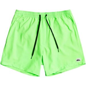 Quiksilver Green Gecko 13" Swim Shorts - Swim Shorts Quiksilver Green Gecko 13" Swim Shorts - Swim Shorts