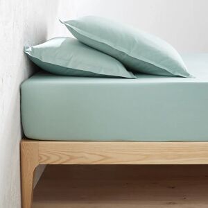 LA REDOUTE INTERIEURS Percal de algodón Sábana Bajera - Varias tallas y colores LA REDOUTE INTERIEURS Percal de algodón Sábana Bajera - Varias tallas y colores