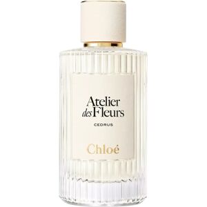 Chloé Cedrus Eau De Parfum Femme 150ml - Publicité Chloé Cedrus Eau De Parfum Femme 150ml - Publicité