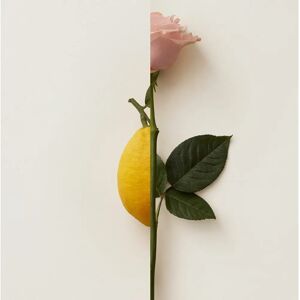 Burberry My Burberry Blush Eau de Parfum - 30ml Burberry My Burberry Blush Eau de Parfum - 30ml