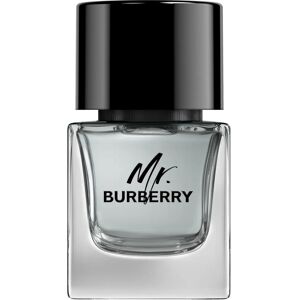 Burberry Mr Burberry Eau de Toilette Spray - Men's Fragrance Burberry Mr Burberry Eau de Toilette Spray - Men's Fragrance