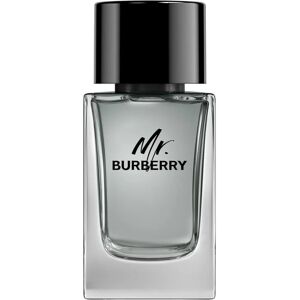 Burberry Mr Burberry Eau De Toilette Spray - Men - 100ml Burberry Mr Burberry Eau De Toilette Spray - Men - 100ml