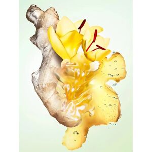 Prada Infusion de Gingembre Eau de Parfum (100ml) - Publicité Prada Infusion de Gingembre Eau de Parfum (100ml) - Publicité