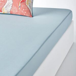 La Redoute Interieurs Drap-housse en Percale de coton - Bleu La Redoute Interieurs Drap-housse en Percale de coton - Bleu