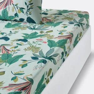 LA REDOUTE INTERIEURS - Somerset - Percale de algodón - Sábana LA REDOUTE INTERIEURS - Somerset - Percale de algodón - Sábana