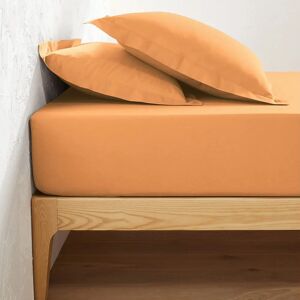 Sábana ajustable de algodón de Redoute Interiors - 25cm de altura - 120x190cm - Naranja Sábana ajustable de algodón de Redoute Interiors - 25cm de altura - 120x190cm - Naranja