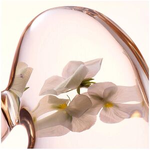 Lancaster Skin Essentials Verzachtende Perfecting Toner - Voor Alle Huidtypes Lancaster Skin Essentials Verzachtende Perfecting Toner - Voor Alle Huidtypes