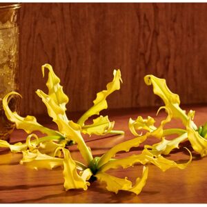 Gucci Guilty Pour Femme Eau de Parfum Intense - Eau de (30ml) Gucci Guilty Pour Femme Eau de Parfum Intense - Eau de (30ml)