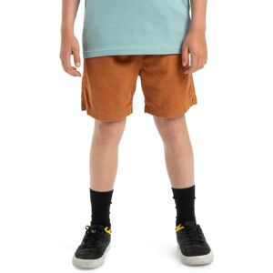 QUIKSILVER Taxer Kids 14 - Bermuda Shorts - bran QUIKSILVER Taxer Kids 14 - Bermuda Shorts - bran