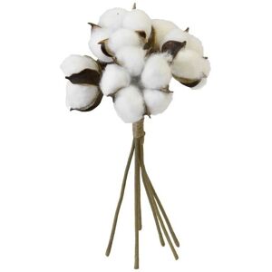 Générique Bouquet de fleurs de coton 6 têtes 24cm Blanc - Bouquet de fleurs - Publicité Générique Bouquet de fleurs de coton 6 têtes 24cm Blanc - Bouquet de fleurs - Publicité