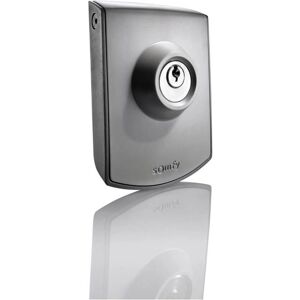 Somfy 2400597 Interruptor de llave para portón o garaje - Resistente a la intemperie Somfy 2400597 Interruptor de llave para portón o garaje - Resistente a la intemperie