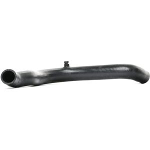 SASIC SWH4289 Manguera de radiador duradera para Renault Clio Rapid SASIC SWH4289 Manguera de radiador duradera para Renault Clio Rapid