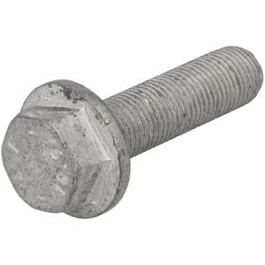SASIC Rullalukki M12x1.25 - Pulley Bolt SASIC Rullalukki M12x1.25 - Pulley Bolt