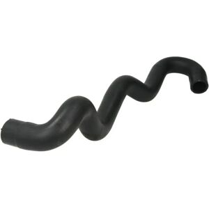 SASIC 3404207 Radiator Hose - Upper Connection Side SASIC 3404207 Radiator Hose - Upper Connection Side